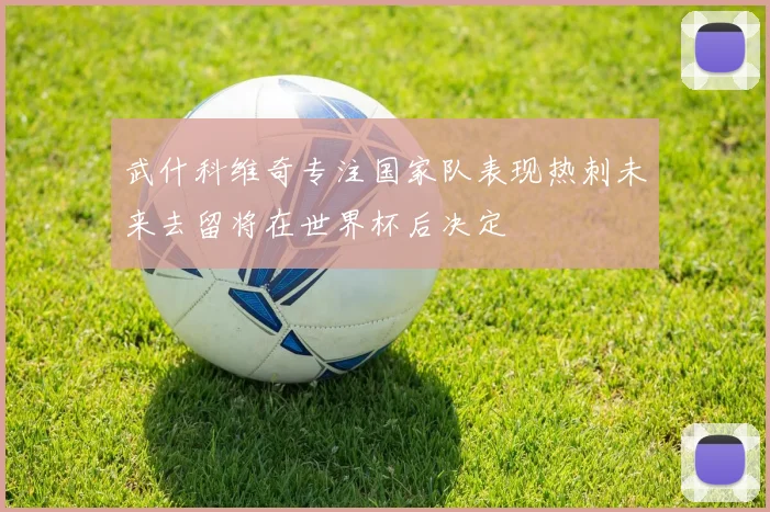 武什科维奇专注国家队表现热刺未来去留将在世界杯后决定